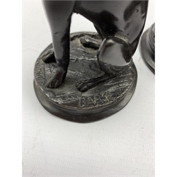Pair of bronze studies of seated greyhounds after Antoine-Louis Barye on circular bases H17cm