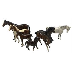 Collection of Beswick horses including Skewbald Pinto 1373, first version, Shetland pony 1033 and foal 1034, Racehorse H701 second version, Grey Mare 1812 and two brown foals (7)
