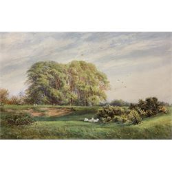 Arthur Powell May (British 1824-1900): 'Spring Head Storrington' West Sussex and Sheep Resting in an Open Pasture, near pair watercolours signed titled and dated 1890 and 1885 max 31cm x 48cm (2)