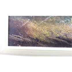 David Maitland Mackenzie (1800-1875): Scottish Highland Loch Landscapes, pair oils on canvas signed 29cm x 59cm (2)