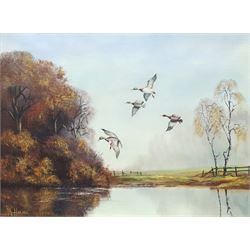 Royce Harmer (British 20th century): Ducks and Geese Flying Over Water, near pair oils on canvas signed, max 50cm x 60cm (2)