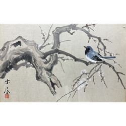 Chinese School (Early 20th century): Bird on Cherry Blossom Branch, watercolour indistinctly signed and with artist's seal 30cm x 46cm