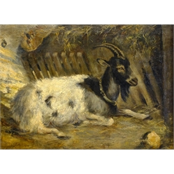 John Ritchie (British 1828-1905): Reclining Goat, oil on canvas signed 33cm x 45cm