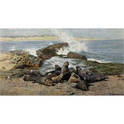 David Shepherd (British 1931-2017): 'Elephant Seals', limited edition colour print signed and numbered 1135/1500 in pencil with Fine Art Guild blind stamp 36cm x 58cm