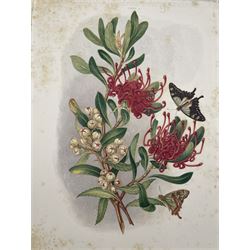 Louisa Anne Meredith - 'Some of my Bush Friends in Tasmania' 1st Ed. 1860 Day & Son, chromolithograph plates, blue and gilt boards, and Thomas Fisher - 'Ancient, Allegorical, Historical and Legendary Paintings in Fresco at Stratford on Avon', with hand coloured plates 1836 with green boards and half calf 51cm x 35cm