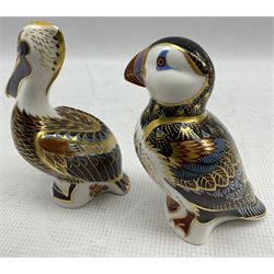 Two Royal Crown Derby paperweights comprising 'Brown Pelican' dated 1998 and Puffin, 1996 (2)