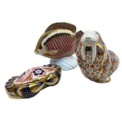 Three Royal Crown Derby paperweights comprising 'Tropical Fish Gourami' dated 1990, Walrus, 1989 and Crab, 1988 (3)