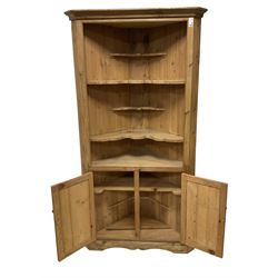 Waxed pine corner cupboard, projecting cornice over open shelves, double panelled cupboard below, shaped plinth base