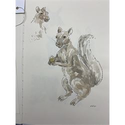 Jill Dickin - Four sketch books of her watercolours in various subjects including Nursery scenes, animals, still life etc