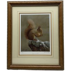 Robert E Fuller (British 1972-): 'Squirrel Nutkin', limited edition colour print signed and numbered 237/850 in pencil 39cm x 29cm