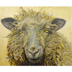 Sarah Williams (British 1961-): Brown Sheep, oil on canvas signed verso 75cm x 90cm 
Notes: Sarah graduated from Norwich School of Art and Design in 1984 with a first-class BA Hons in Fine Art and, having won the Stowell's Trophy, was awarded an unconditional place to study MA Painting at the Royal Academy. She comes from a family of creative talent - her father, Reg Williams, was a member of the York Four. During her three years at Norwich Art School, she exhibited regularly in the school gallery and Norwich Castle and visited Switzerland, exhibiting and working with Kurt Rupe. More recently, she has exhibited in galleries around England and has had her own businesses in Interior Design, Architectural Design, Furniture Design and Jewellery. Sarah has recently returned to painting full-time and, having used a multitude of mediums in her creative work, now confesses she is an oil-paint addict. It is 