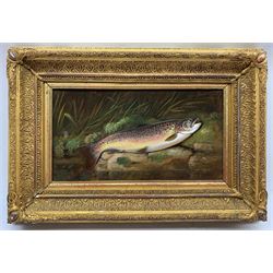 Thomas G Targett (British 1828-1891): 'Brown Trout on Riverbank', oil on board, signed and dated 1881, 13cm x 24cm
Provenance: purchased from Cambridge Fine Art, 2001