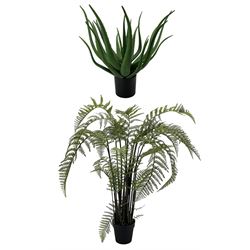 Artificial Aloe Vera plant in pot and another, H120cm (max)