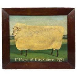 English Naive School (19th century): '1st Prize at Bagshawe 1881' Sheep, oil on panel unsigned 34cm x 43cm