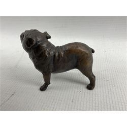 Richard Cooper & Co. bronze model of a Bulldog with original box, L8cm x H6cm