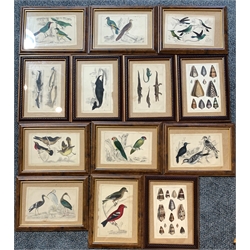 After Oliver Goldsmith, a series of eight hand coloured ornithological book plates published by Fullarton & Co and five other natural history prints