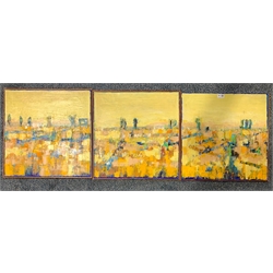 Dania Picchi (Italian 1961-): 'Yellow Landscape', triptych of oils on canvas one signed, another titled in Italian, signed and dated 2002 verso 50cm x 50cm (3)