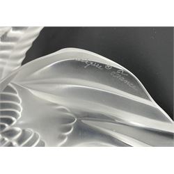 Three Lalique frosted glass Swallows, in various poses, each engraved Lalique France to base, H8.5cm max (3)