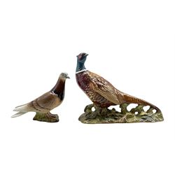 Beswick model of a pigeon in red gloss No.1383, second version and a Beswick pheasant No1225 second version