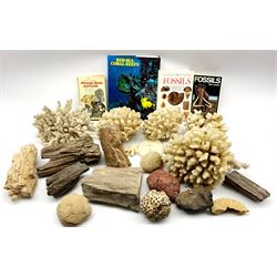 Collection of ten fossilised tree branches and minerals together with three books on fossils and nine pieces of coral with a book 'Red Sea Coral Reefs'
