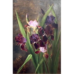 FGL (British late 19th century): Study of Irises, oil on canvas signed with initials and dated '99, 53cm x 35cm