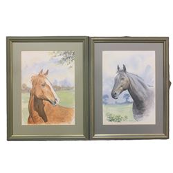 Charles (British contemporary): Chestnut and Thoroughbred Horse Portrait, pair watercolours signed 34cm x 25cm (2)