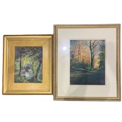 JMW (British 20th century): 'Autumn Colours', pastel signed together with English School (early 20th century): River with Tree Canopy Landscape, watercolour unsigned max 
35cm x 27cm (2)