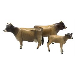 Beswick Jersey family comprising 'Dunsley Coy Boy' bull 1422, 'Newton Tinkle' cow 1345 and calf 1249d (3)