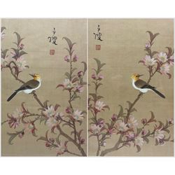 Chinese School (19th/20th century): Birds in Blossom Tree, pair watercolours on silk signed with artists seal 35cm x 30cm (2)