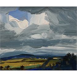 Robert Newton (British 1964-): 'A Big Cloud Day', acrylic and oil signed, titled verso 10cm x 12cm
Provenance: Water Street Gallery label verso