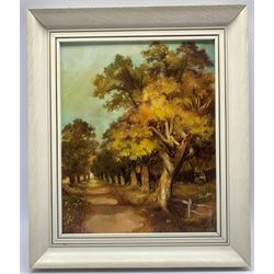 Széchenyi István (Hungarian Contemporary): Autumn Woodland Scene, oil on board signed 35cm x 28cm