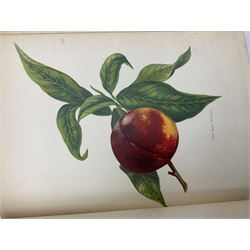 John Wright - The Fruit Growers Guide published Virtue & Co in 6 volumes with chromolithographs by May Rivers in green cloth with decorative front boards, all edges gilt