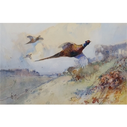 Frank Southgate RBA (British 1872-1916): Pheasants, pair watercolours signed 38cm x 58cm
