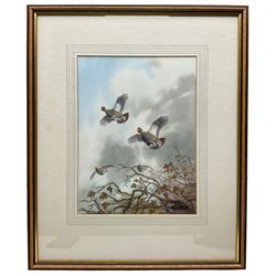 Robert W Milliken (British 1920-2014): Partridges in Flight, watercolour signed 35cm x 27cm
