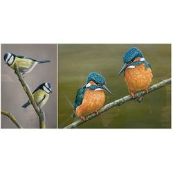 Robert E Fuller (British 1972-): Kingfishers and Bluetits, two limited edition colour print signed and numbered max 21cm x 30cm (2)