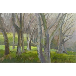 Anne Williams (British 20th century): 'Cliff Top Trees Scarborough', oil on board signed, titled on label verso 35cm x 53cm 
Provenance: direct from the artist's family. Anne was a local artist who lived at Malton and later York.