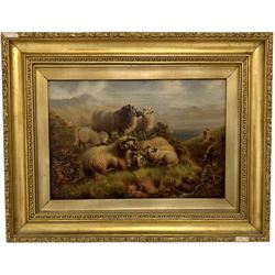 W Thompson (British early 20th century): Rams and Lambs Resting in Moorland Landscape, oil on canvas signed 27cm x 39cm