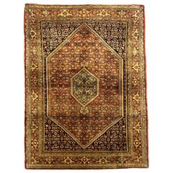 Persian Herati red ground rug, extended lozenge field with central medallion, surround by repeating Herati motifs, the main border decorated with stylised plant motifs