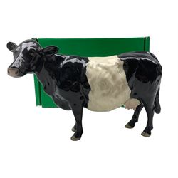 Beswick belted Galloway cow 4113a, boxed 
