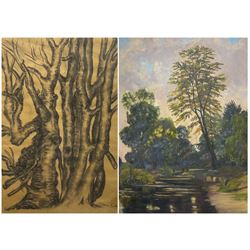 Carla McCowen (British Early 20th century): 'Coppiced Beech', charcoal signed, titled verso 56cm x 38cm; English School (Mid-20th century):  River Landscape with Trees, oil on canvas unsigned 90cm x 70cm (2)