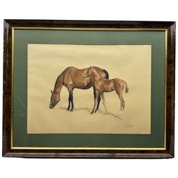 Adriana Zaefferer (British 1952): Mare and Foal, pastel signed and dated '81, 44cm x 60cm