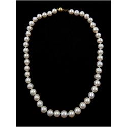Single strand cultured white/pink pearl necklace, with 9ct gold ball clasp stamped 375