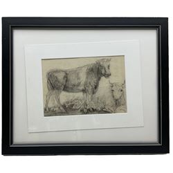 English Naive School (Early 19th century): Prize Bull, pencil sketch on card unsigned 20cm x 29cm