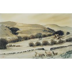 John Urwin (British Contemporary): Sheep Grazing in Winter, watercolour signed and dated (19)92, 35cm x 54cm