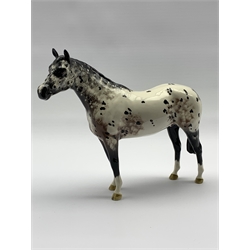 Beswick model of an Appaloosa stallion No. 1772, second version