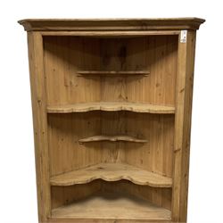 Waxed pine corner cupboard, projecting cornice over open shelves, double panelled cupboard below, shaped plinth base