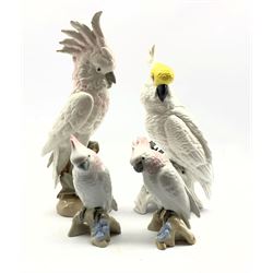 Crown Staffordshire figure of a cockatoo designed by J T Jones H35cm, pair of Royal Dux figures of cockatoos H18cm and a single large Royal Dux cockatoo H40cm