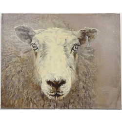Sarah Williams (British 1961-): Sheep, oil on canvas signed and dated 2019 verso 41cm x 50cm 
Notes: Sarah graduated from Norwich School of Art and Design in 1984 with a first-class BA Hons in Fine Art and, having won the Stowell's Trophy, was awarded an unconditional place to study MA Painting at the Royal Academy. She comes from a family of creative talent - her father, Reg Williams, was a member of the York Four. During her three years at Norwich Art School, she exhibited regularly in the school gallery and Norwich Castle and visited Switzerland, exhibiting and working with Kurt Rupe. More recently, she has exhibited in galleries around England and has had her own businesses in Interior Design, Architectural Design, Furniture Design and Jewellery. Sarah has recently returned to painting full-time and, having used a multitude of mediums in her creative work, now confesses she is an oil-paint addict. It is 