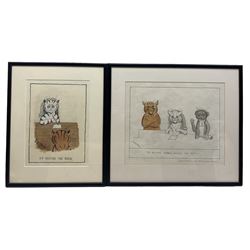 After Louis William Wain (British 1860-1939): 'Up Before the Beak' and 'The Orchard Robber Before the Beak', two ink and watercolours signed 'Louis Wain' together with a pencil drawing also bearing signature and two prints max 28cm x 53cm (5)