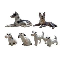 Four Bing & Grondahl porcelain dogs comprising a Great Dane no. 2190, Wire-Haired Foxterrier no. 2086 and two Sealyham Terrier no. 2179 & 2085, together with two Dahl Jensen dogs: German Shepherd no. 1130 and Maltese Belgian griffon no. 1120 (6)